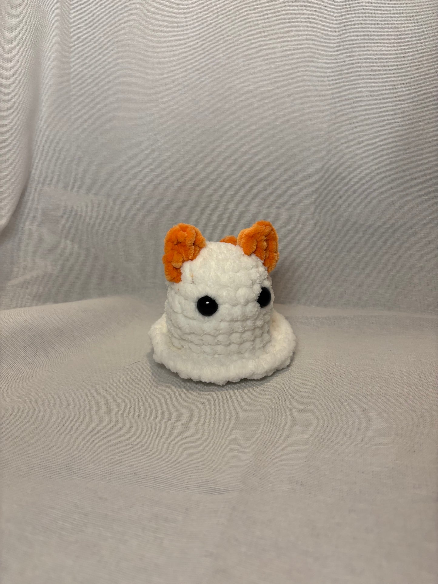 Pumpkin Ghost Cat
